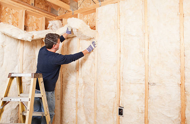 Best Spray Foam Insulation  in Und City, MO